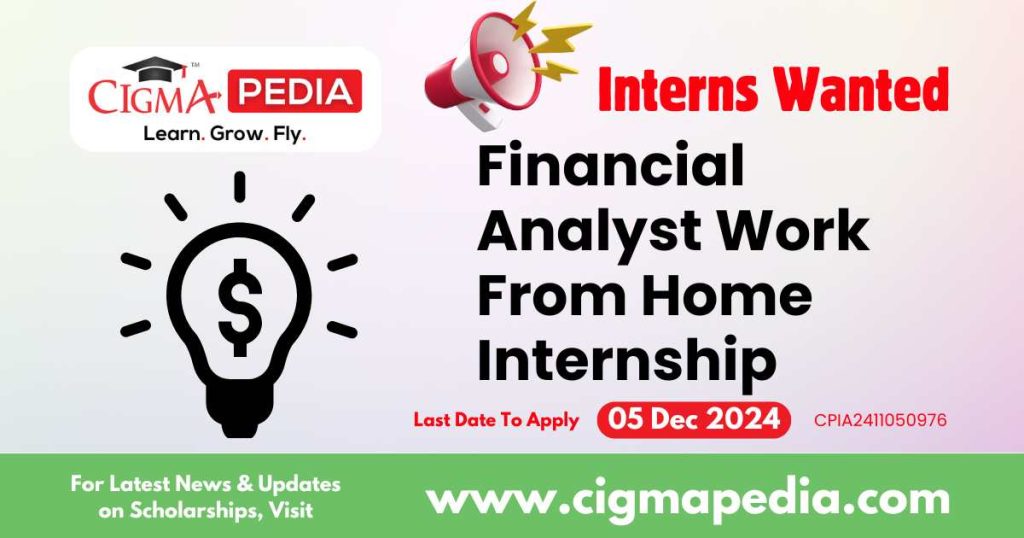 Financial Analyst Work From Home Internship