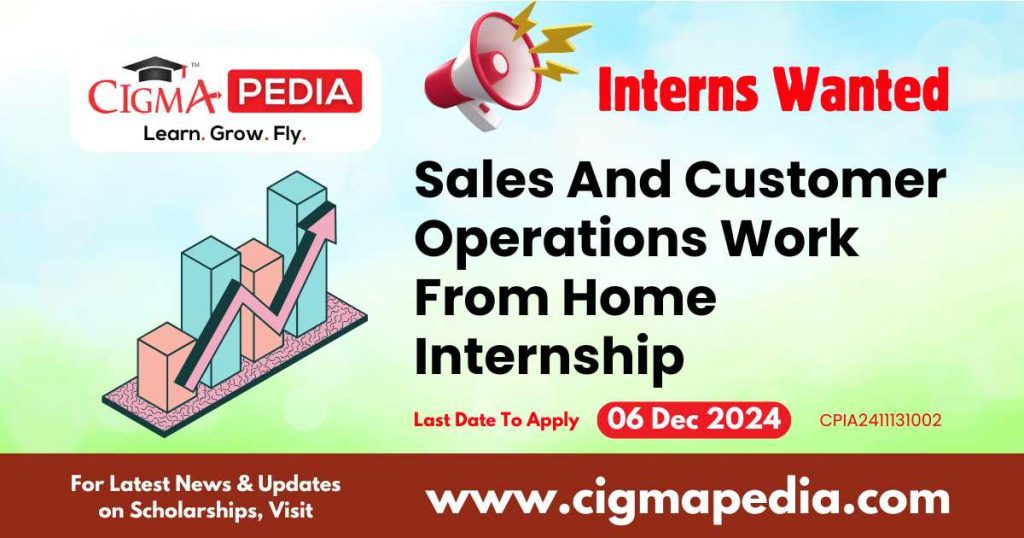 Sales And Customer Operations Work From Home Internship