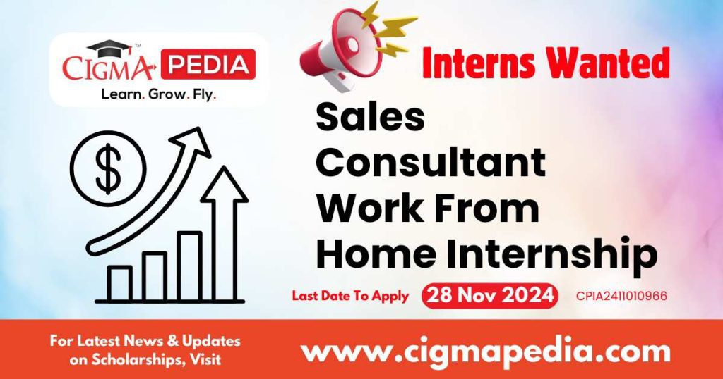 Sales Consultant Work From Home Internship