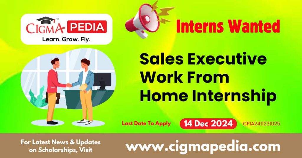 Sales Executive Work From Home Internship