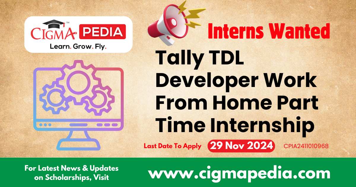 Tally TDL Developer Work From Home Part Time Internship