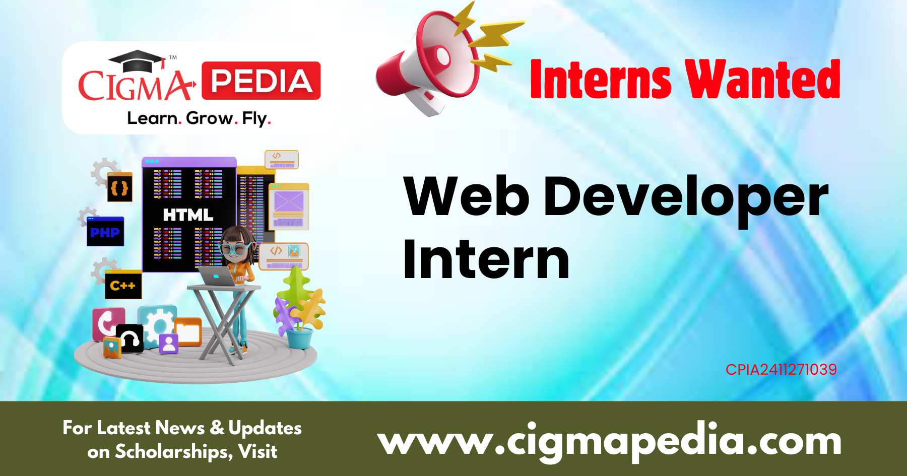 Web Developer Intern