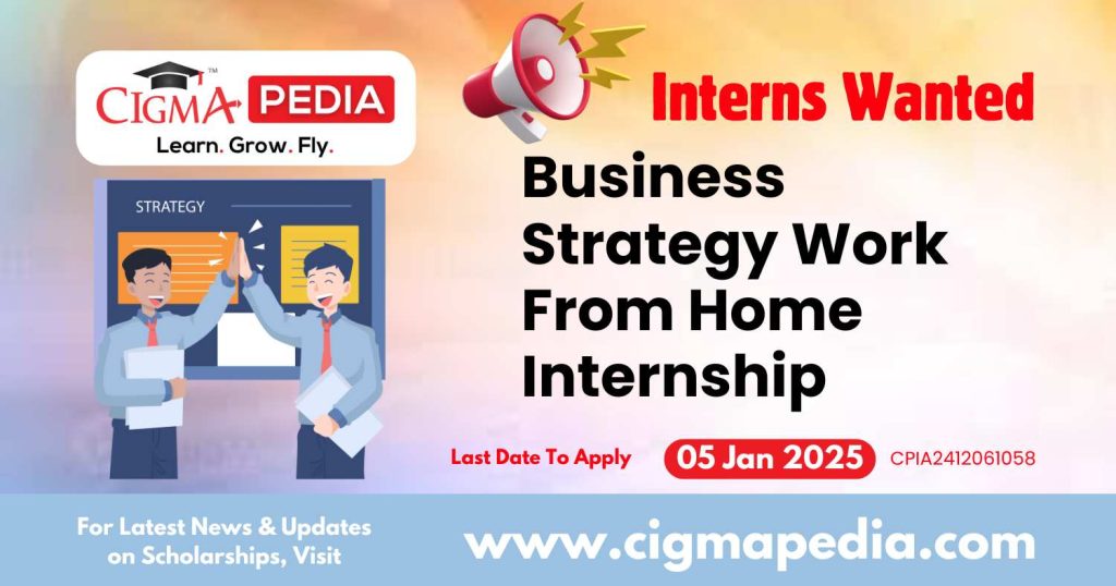 Business Strategy Work From Home Internship