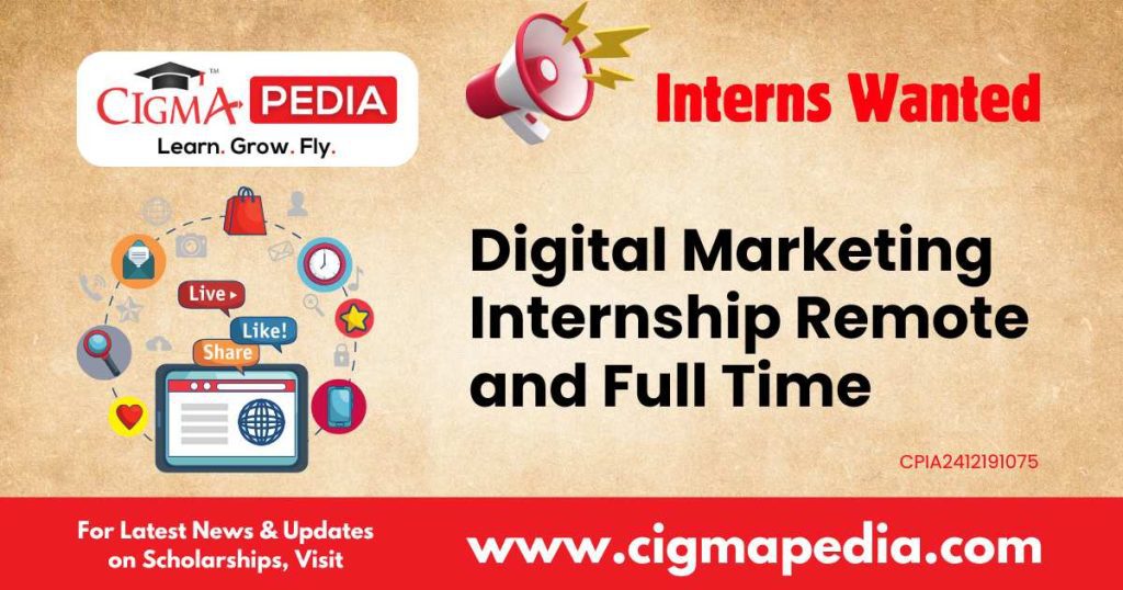 Digital Marketing Internship Remote and Full Time