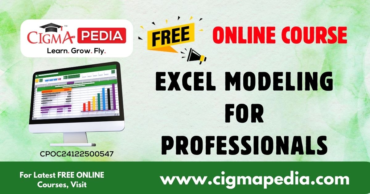 Excel Modeling for Professionals