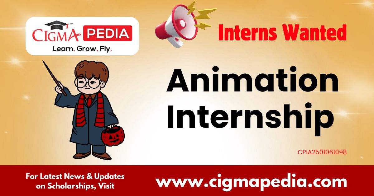 Animation Internship