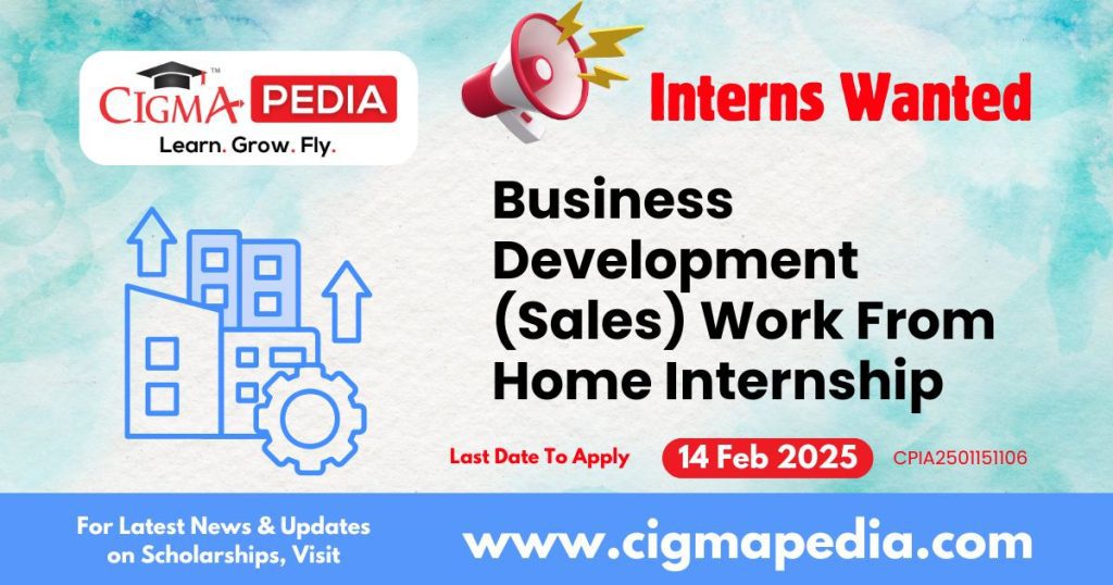 Business Development (Sales) Work From Home Internship with Icy Tales