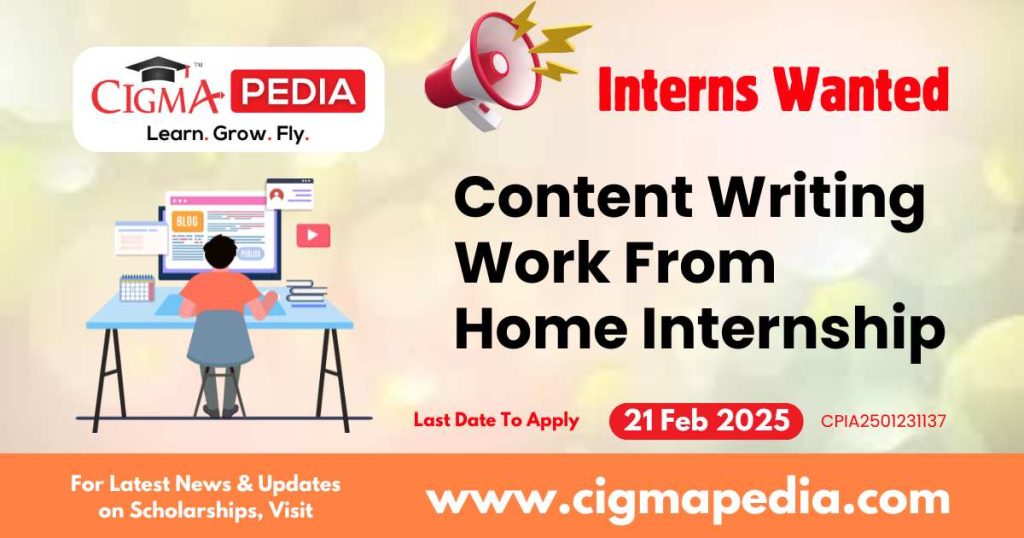 Content Writing Work From Home Internship