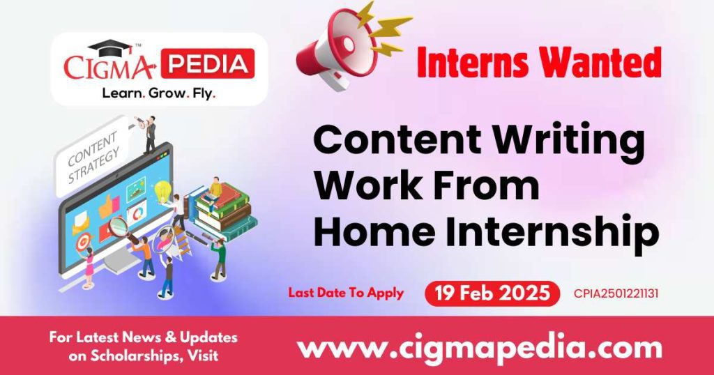 Content Writing Work From Home Internship