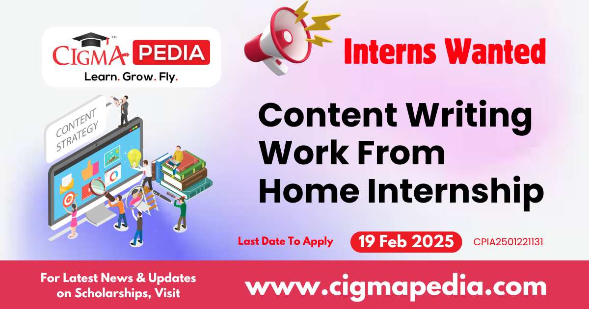 Content Writing Work From Home Internship