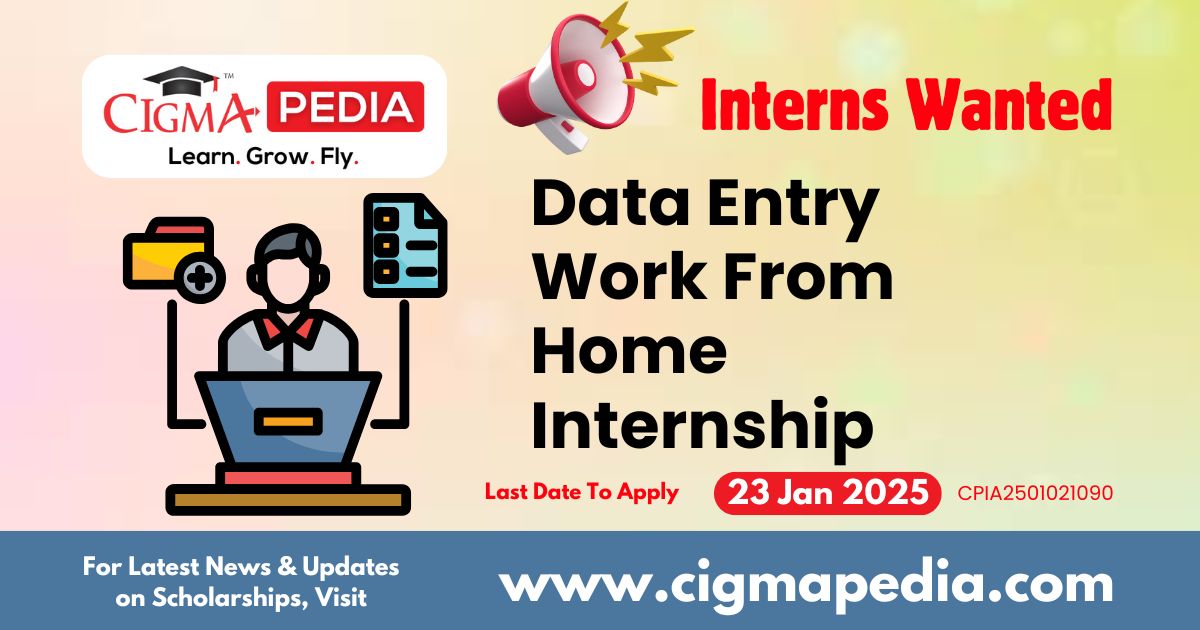 Data Entry Work From Home Internship By Singularium Technologies Private Limited