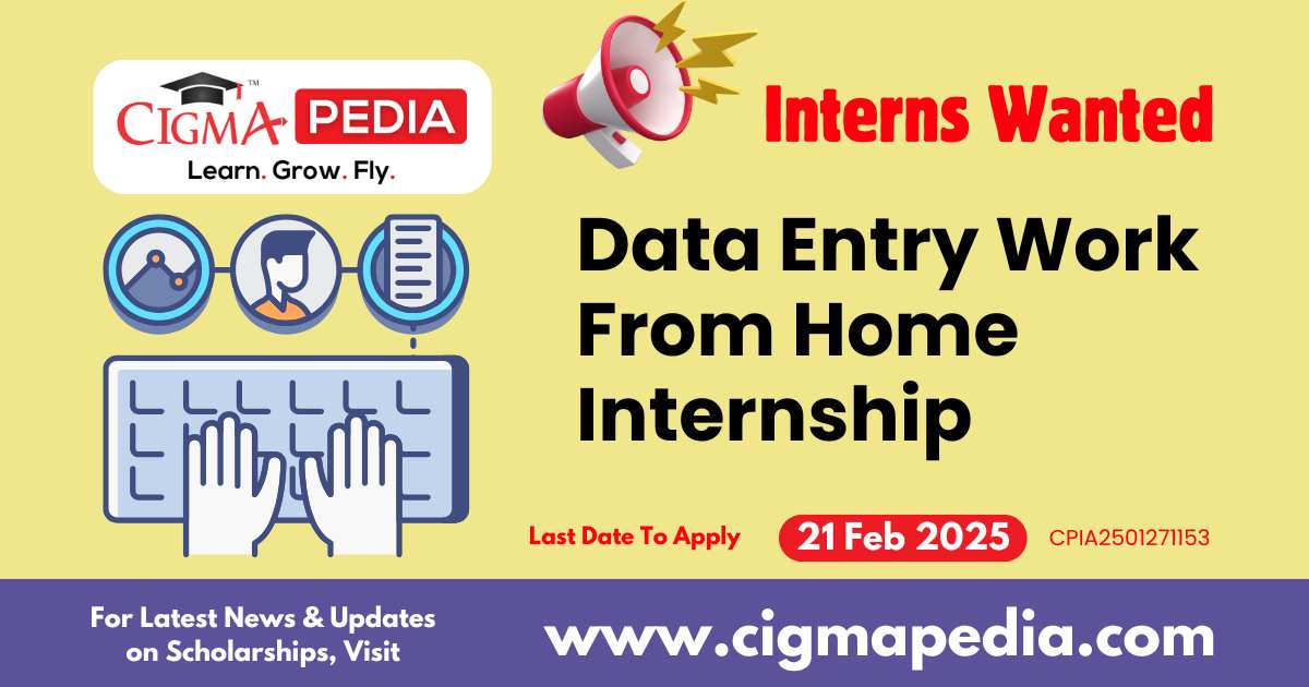 Data Entry Work From Home Internship