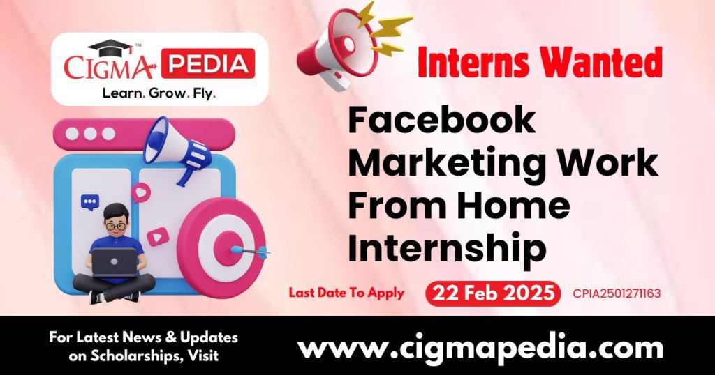 Facebook Marketing Work From Home Internship