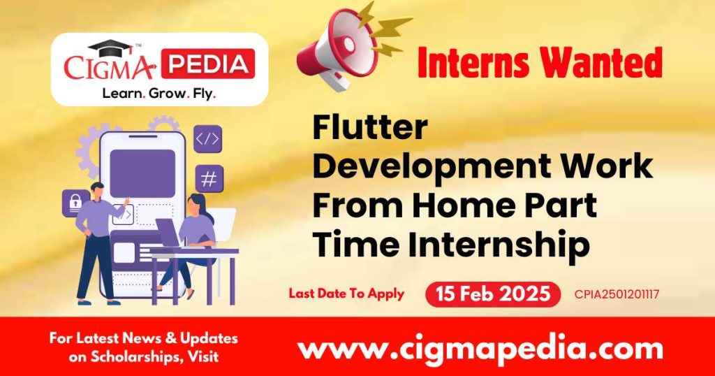 Flutter Development Work From Home Part Time Internship