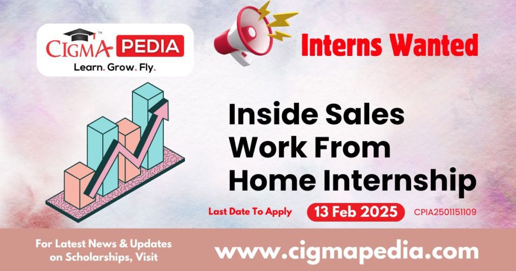 Inside Sales Work From Home Internship By Big Internet E-commerce Private Limited