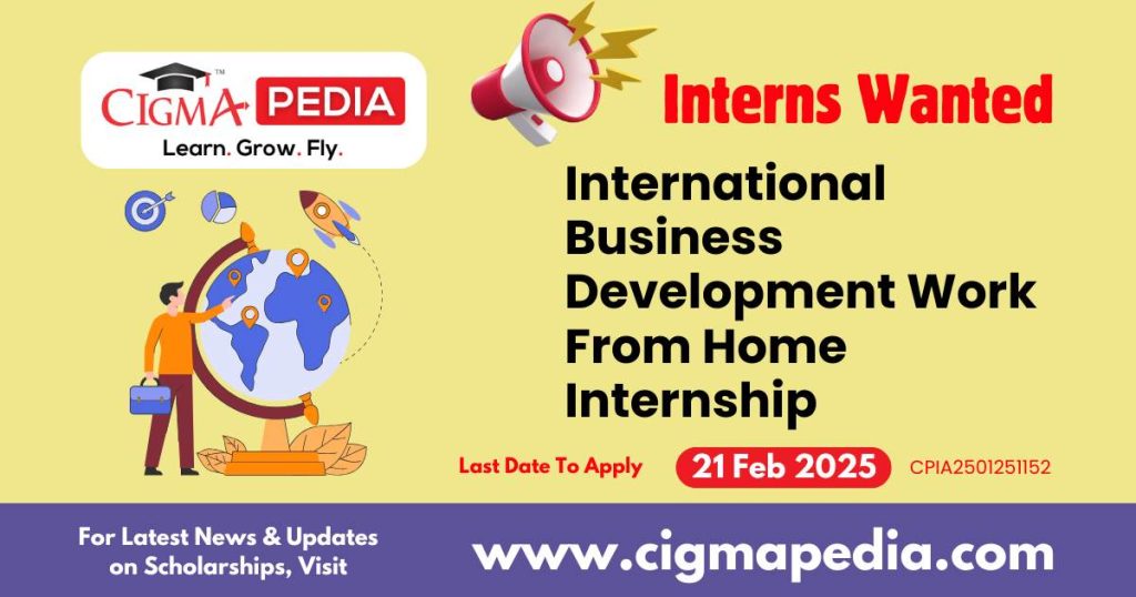 International Business Development Work From Home Internship