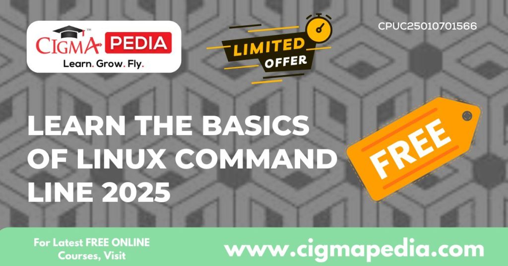 Learn The Basics of Linux Command Line