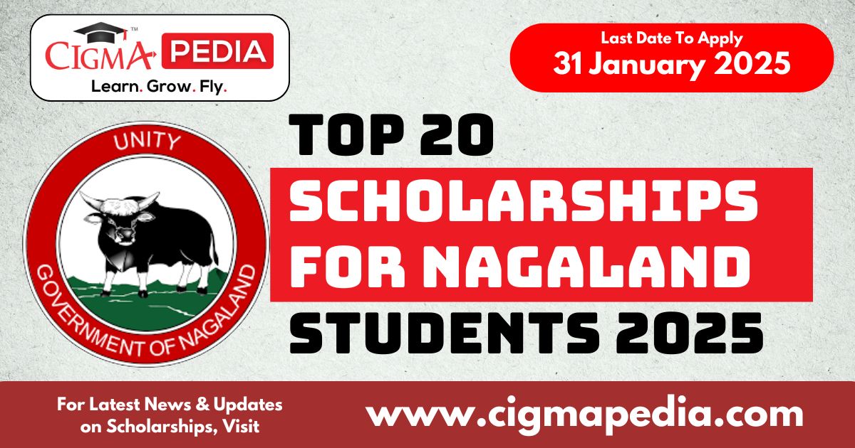 Scholarships for Nagaland