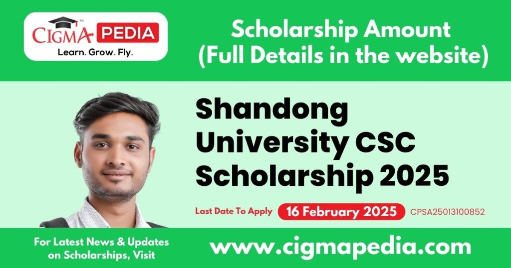 Shandong University CSC Scholarship