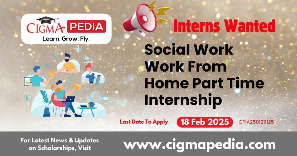 Social Work Work From Home Part Time Internship