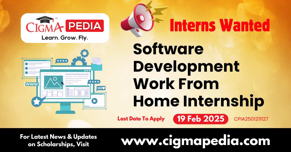 Software Development Work From Home Internship