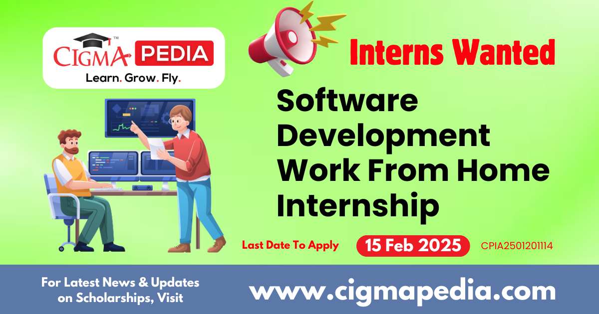 Software Development Work From Home Internship