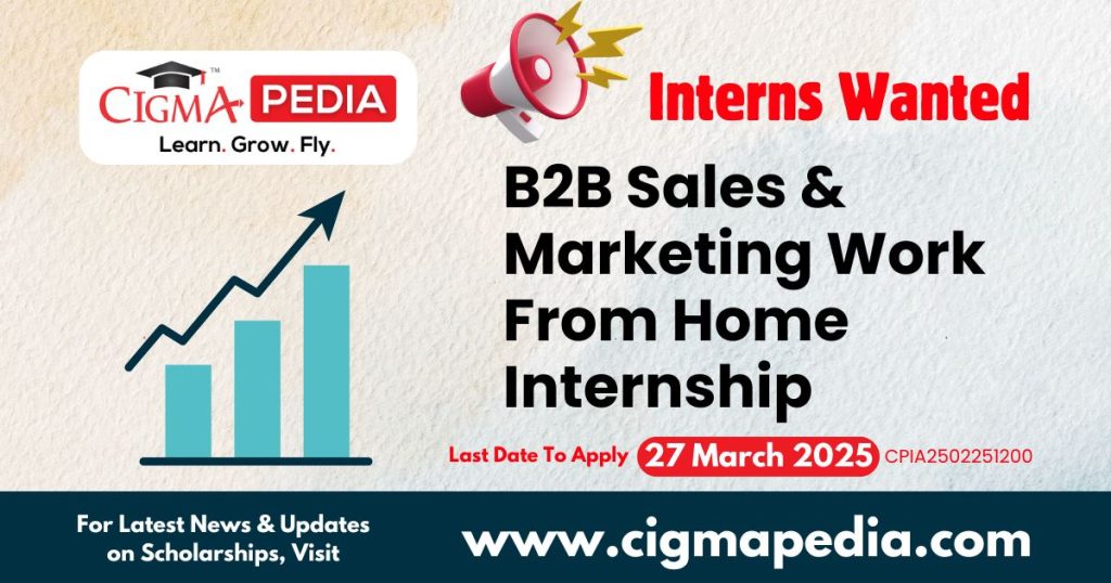 B2B Sales & Marketing Work From Home Internship