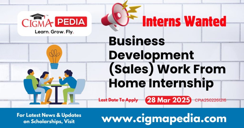 Business Development (Sales) Work From Home Internship