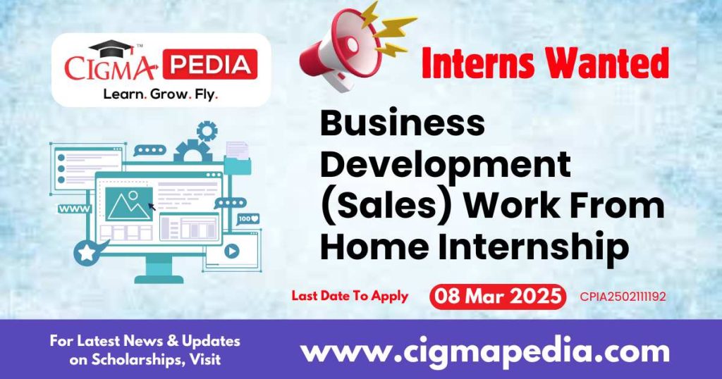 Business Development (Sales) Work From Home Internship