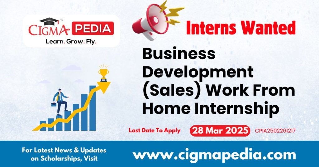 Business Development (Sales) Work From Home Internship