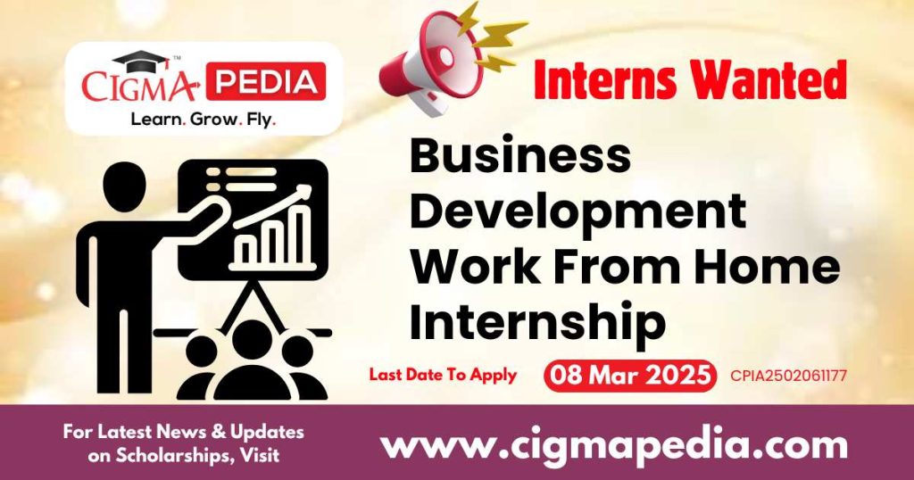 Business Development Work From Home Internship