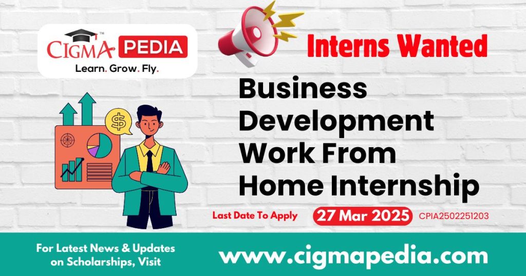 Business Development work from home Internship