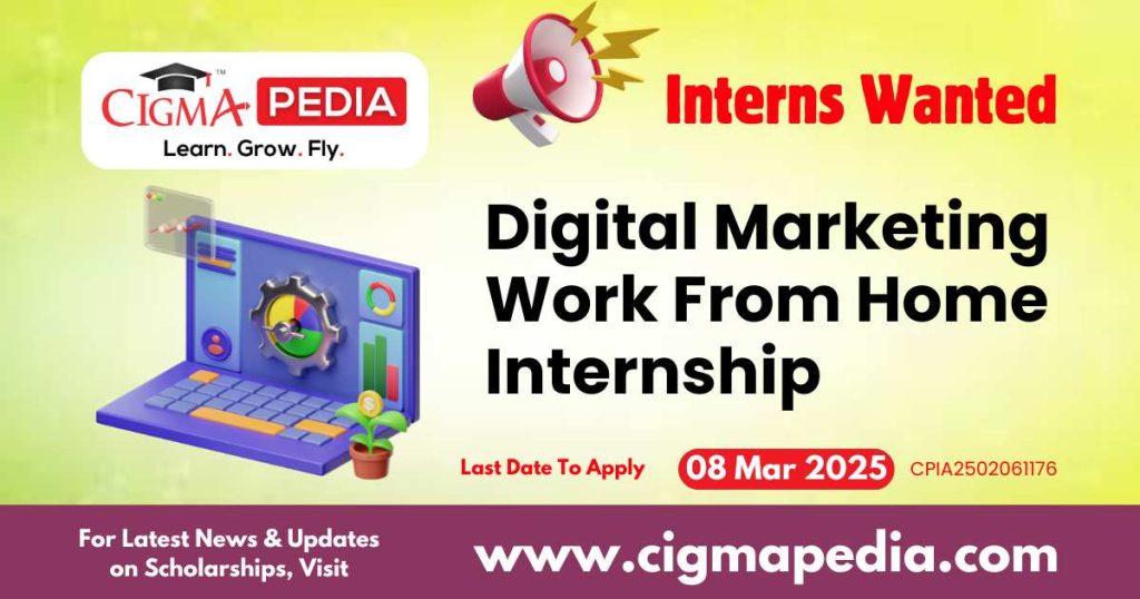 Digital Marketing Work From Home Internship
