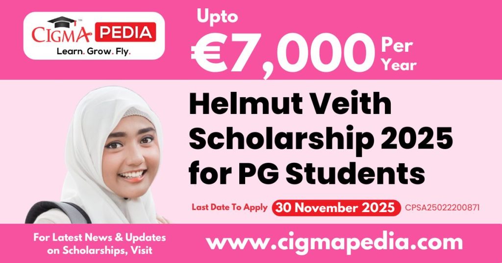 Helmut Veith Scholarship