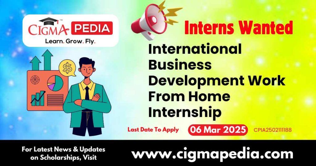 International Business Development Work From Home Internship