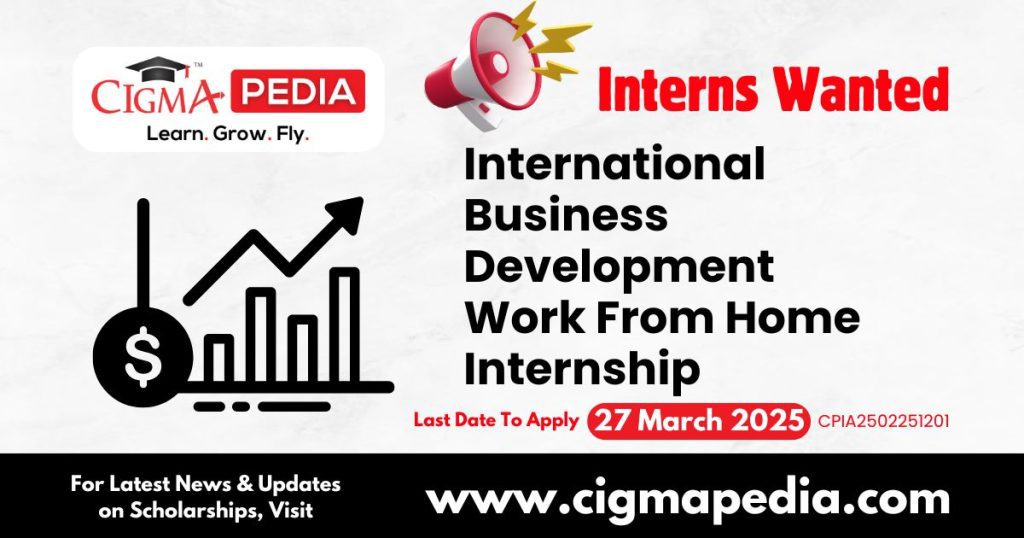 International Business Development Work From Home Internship