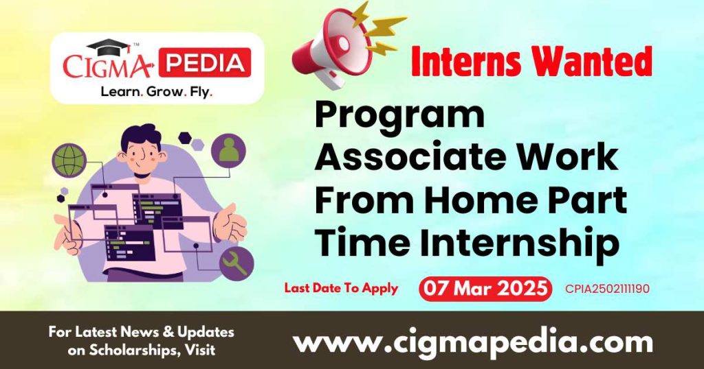 Program Associate Work From Home Part Time Internship