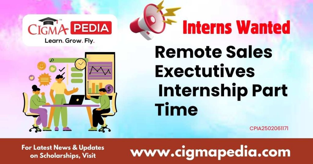 Remote Sales Exectutives Internship Part Time