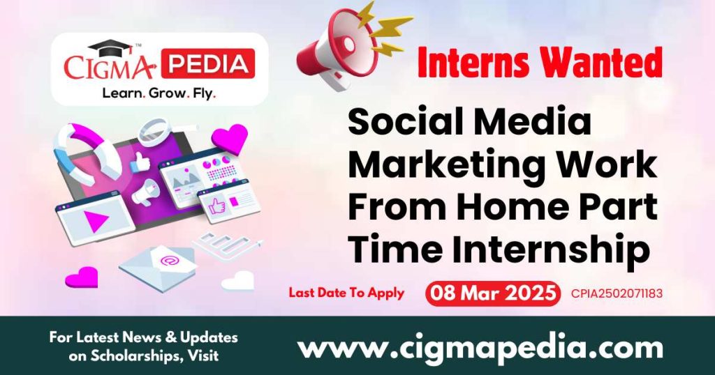Social Media Marketing Work From Home Part Time Internship