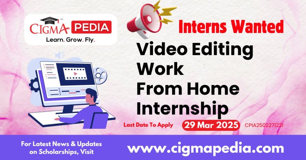 Video Editing Work From Home Internship By Madquick Digital Agency