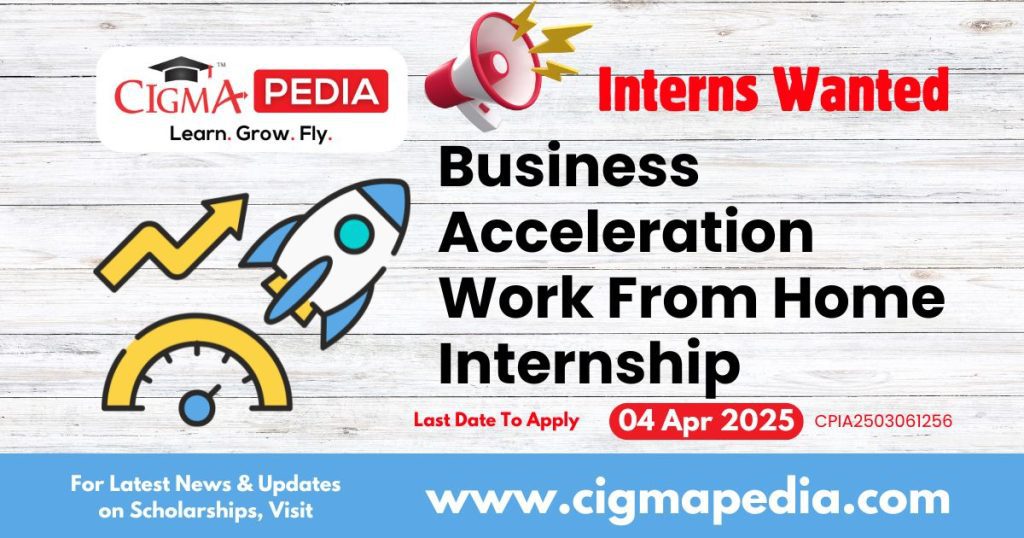 Business Acceleration Work From Home Internship