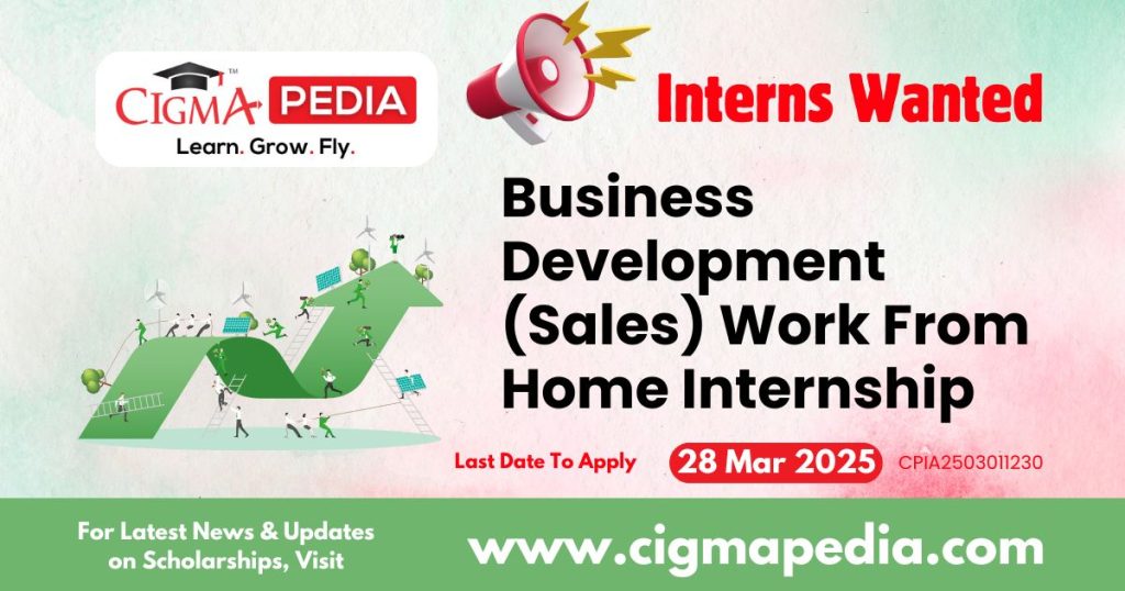 Business Development (Sales) Work From Home Internship