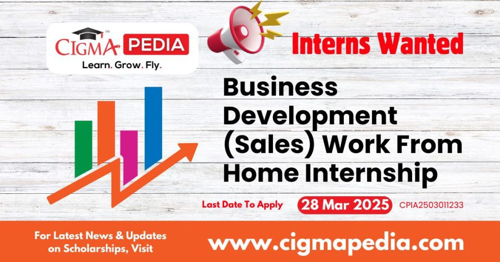 Business Development (Sales) Work From Home Internship