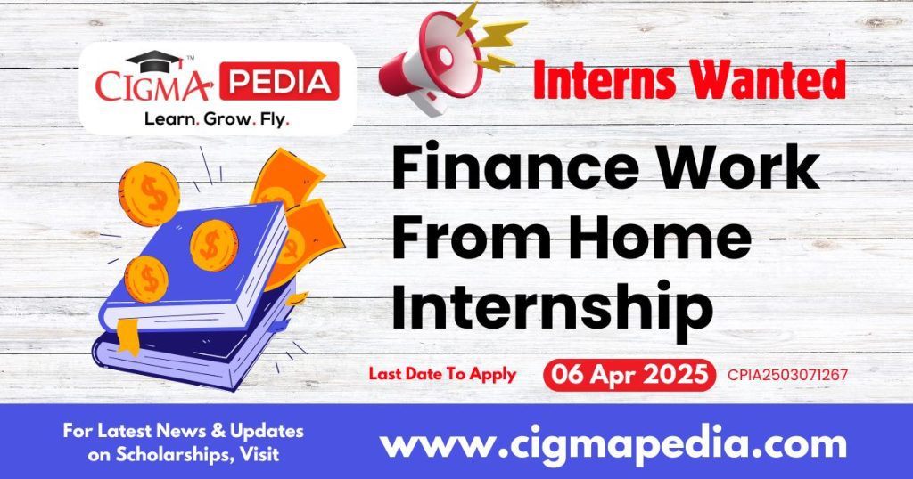 Finance Work From Home Internship