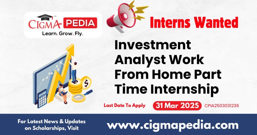 Investment Analyst Work From Home Part Time Internship By Big Bulls