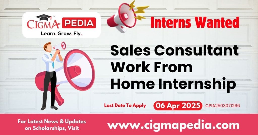 Sales Consultant Work From Home Internship