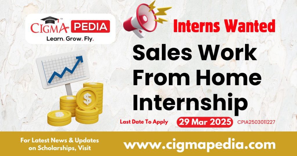 Sales Work From Home Internship