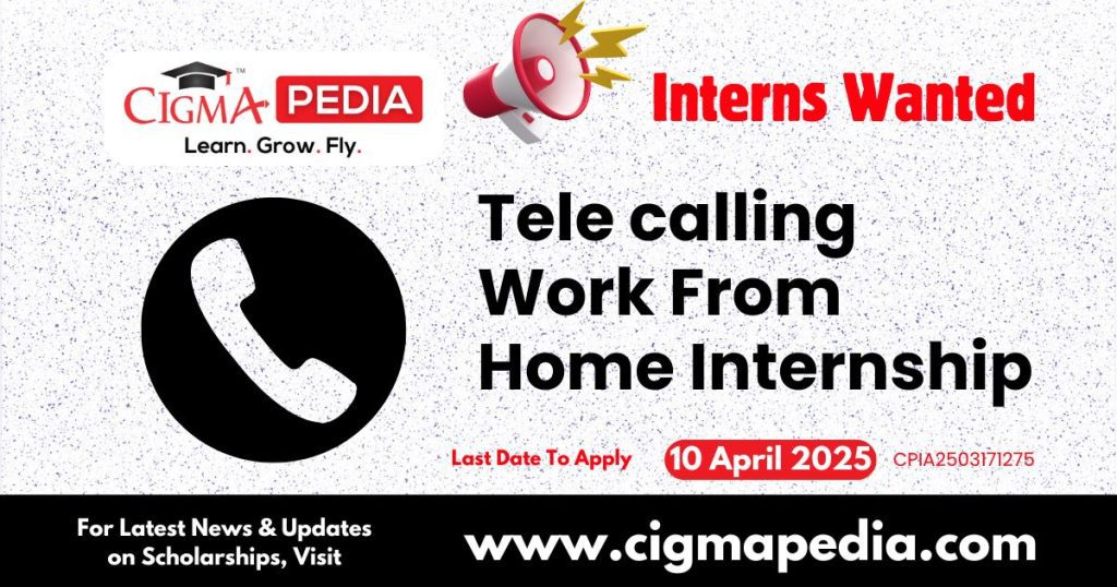 Telecalling Work From Home Internship