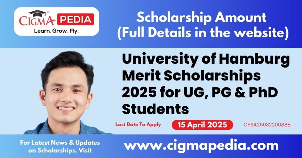 University of Hamburg Merit Scholarships