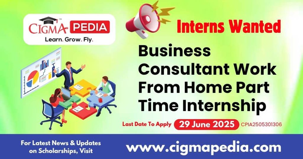 Business Consultant Work From Home Part Time Internship